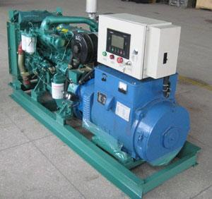 巴东发电机出租